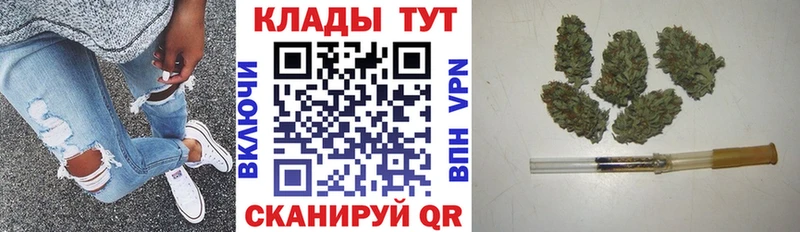 Псилоцибиновые грибы Кувшиново