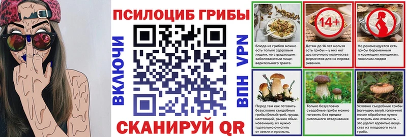 Псилоцибиновые грибы мицелий  как найти наркотики  Кувшиново 